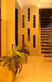 Туры в отель Primrose Guest House Туры в отель Primrose Guest House