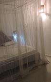 Туры в отель Primrose Guest House Туры в отель Primrose Guest House
