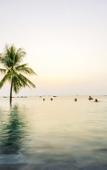 Туры в отель Seashells Phu Quoc Hotel & Spa Туры в отель Seashells Phu Quoc Hotel & Spa