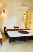 Туры в отель Star Holiday Resort Туры в отель Star Holiday Resort