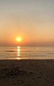 Туры в отель Yantra Ayurvedic Beach Resort Туры в отель Yantra Ayurvedic Beach Resort
