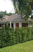 Туры в отель AliSea Pool Villas Туры в отель AliSea Pool Villas