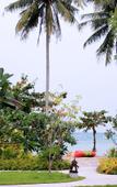 Туры в отель Maehaad Bay Resort Туры в отель Maehaad Bay Resort