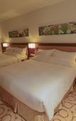 Туры в отель Aristo International Hotel Туры в отель Aristo International Hotel