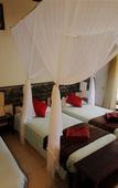 Туры в отель Kelimutu Crater Lakes Eco Lodge Туры в отель Kelimutu Crater Lakes Eco Lodge