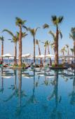 Туры в отель Amavi Hotel Туры в отель Amavi Hotel