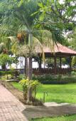 Туры в отель Lovina Beach Hotel Туры в отель Lovina Beach Hotel
