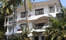 Amor By The Walk Stays