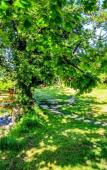 Туры в отель Stone Bridge Eco Lodge Туры в отель Stone Bridge Eco Lodge
