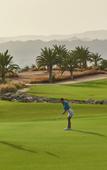 Туры в отель Hyatt Regency Aqaba Ayla Resort Туры в отель Hyatt Regency Aqaba Ayla Resort