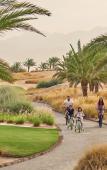 Туры в отель Hyatt Regency Aqaba Ayla Resort Туры в отель Hyatt Regency Aqaba Ayla Resort