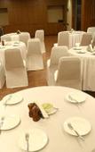 Туры в отель Evoke Lifestyle Candolim Туры в отель Evoke Lifestyle Candolim