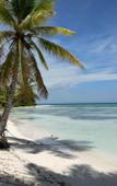 Туры в отель Whala!Urban Punta Cana Туры в отель Whala!Urban Punta Cana
