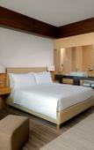 Туры в отель Voronezh Marriott Hotel Туры в отель Voronezh Marriott Hotel