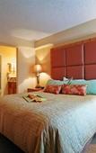 Туры в отель Desert Rose Resort Туры в отель Desert Rose Resort