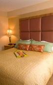 Туры в отель Desert Rose Resort Туры в отель Desert Rose Resort