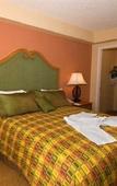 Туры в отель Desert Rose Resort Туры в отель Desert Rose Resort