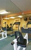 Туры в отель Desert Rose Resort Туры в отель Desert Rose Resort