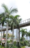 Туры в отель Aloha Oceanfront Suite Resort (Annex Building) Туры в отель Aloha Oceanfront Suite Resort (Annex Building)