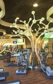 Туры в отель Barcelo Maya Grand Resort Туры в отель Barcelo Maya Grand Resort