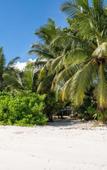 Туры в отель Bliss Hotel Praslin Туры в отель Bliss Hotel Praslin