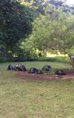 Туры в отель Bliss Hotel Praslin Туры в отель Bliss Hotel Praslin