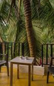 Туры в отель Shivam Bnb Mandrem Туры в отель Shivam Bnb Mandrem