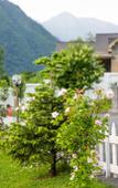 Туры в отель White Boutique Hotel Туры в отель White Boutique Hotel
