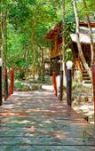 Туры в отель Tree House Bungalow Koh Rong Туры в отель Tree House Bungalow Koh Rong
