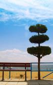 Туры в отель Village Mare Residence Туры в отель Village Mare Residence