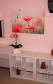 Туры в отель Victoria Hill Hotel Туры в отель Victoria Hill Hotel