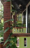 Туры в отель Mai Phuong Binh Bungalow Туры в отель Mai Phuong Binh Bungalow