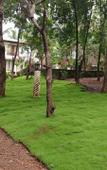 Туры в отель Butterfly Resort Goa Туры в отель Butterfly Resort Goa