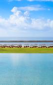 Туры в отель The Apurva Kempinski Bali Туры в отель The Apurva Kempinski Bali