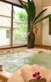 Туры в отель Diamond Cottage Resort & Spa Туры в отель Diamond Cottage Resort & Spa