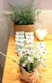 Туры в отель 1000 Nights Apartments Туры в отель 1000 Nights Apartments