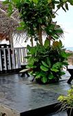 Туры в отель Sea Shine Guest House Туры в отель Sea Shine Guest House
