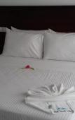 Туры в отель Blue Beach Villa Туры в отель Blue Beach Villa