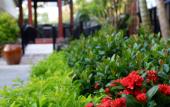 Туры в отель Ahaveda Resort Туры в отель Ahaveda Resort