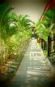 Туры в отель Ahaveda Resort Туры в отель Ahaveda Resort