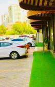 Туры в отель Prime Tower Hotel Туры в отель Prime Tower Hotel