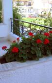 Туры в отель Rappos Studios Туры в отель Rappos Studios