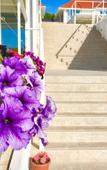Туры в отель Villa Campari Туры в отель Villa Campari