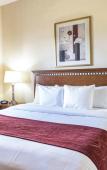 Туры в отель Comfort Suites Goodyear Туры в отель Comfort Suites Goodyear