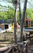 Туры в отель Алаку Отель Туры в отель Алаку Отель