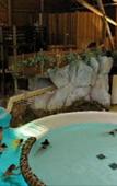 Туры в отель Disney's Davy Crockett Ranch Туры в отель Disney's Davy Crockett Ranch