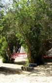 Туры в отель The Resort Туры в отель The Resort