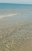 Туры в отель The Resort Туры в отель The Resort
