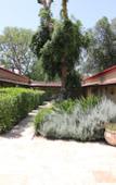 Туры в отель Ashdot Yaacov Ichud Kibbutz Country Lodging Туры в отель Ashdot Yaacov Ichud Kibbutz Country Lodging