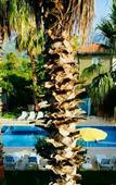 Туры в отель More Beach Hotel Туры в отель More Beach Hotel